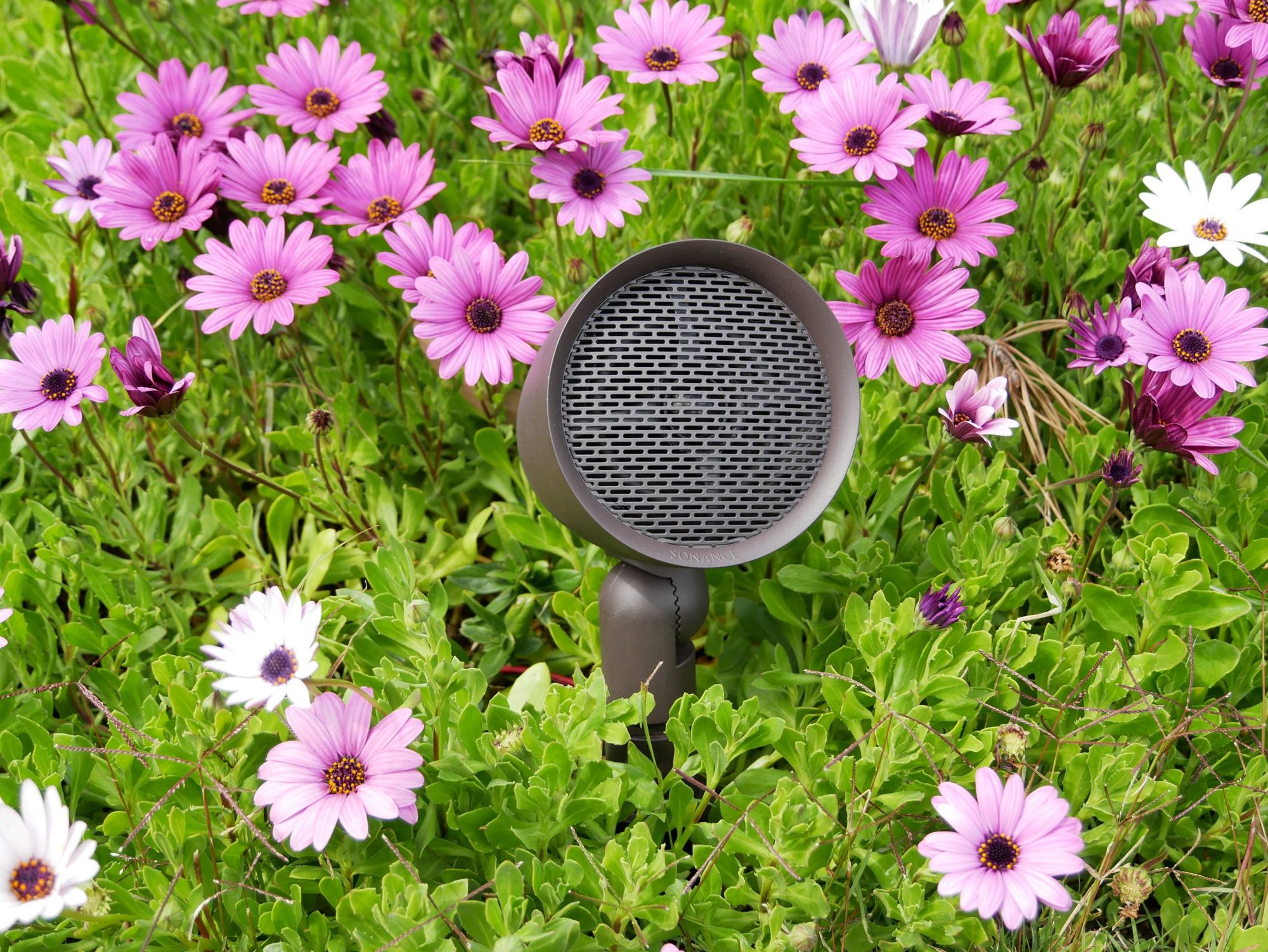 Haut-parleur extérieur discret au milieu des fleurs d'un jardin