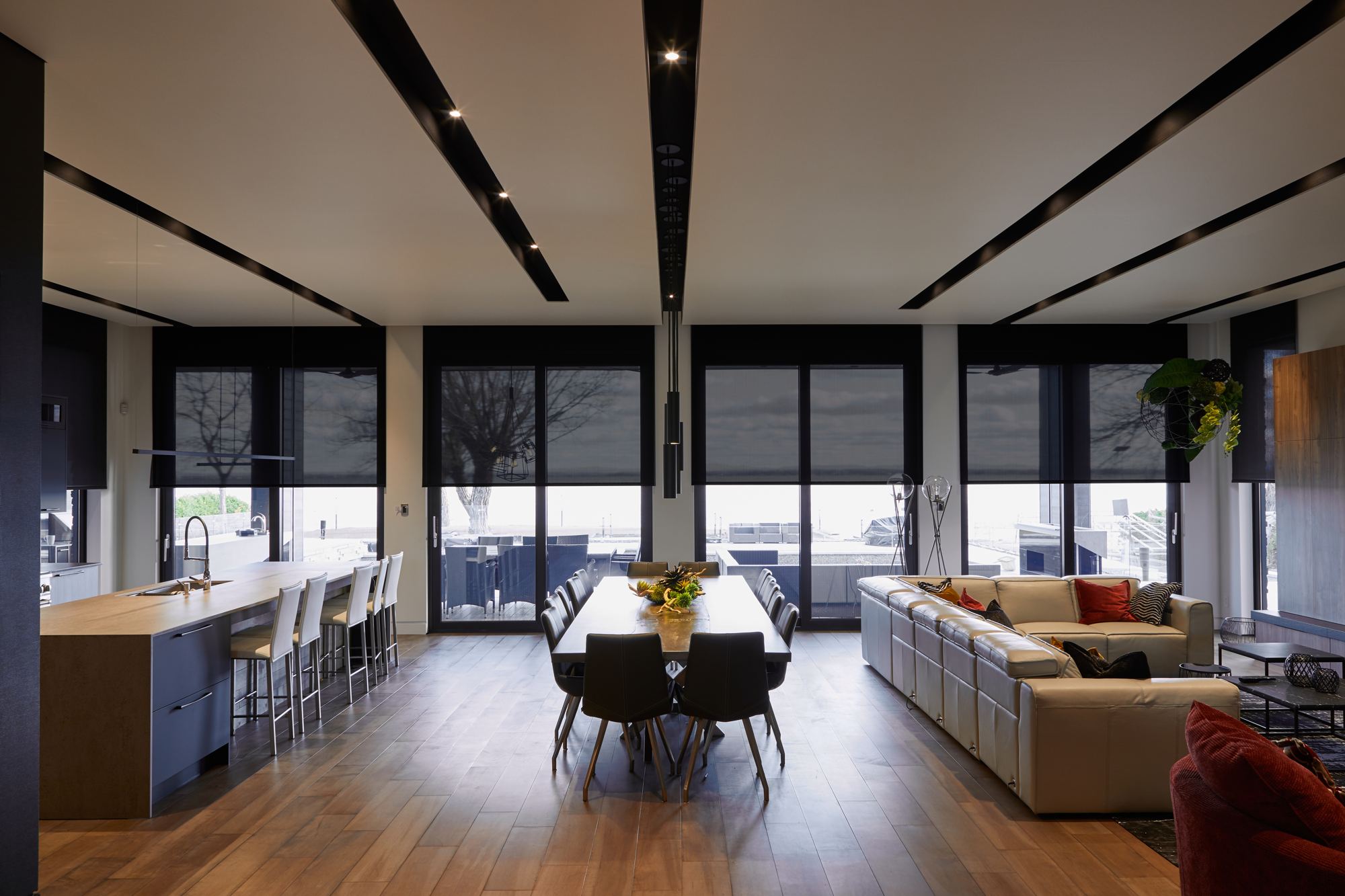 Motorized shades